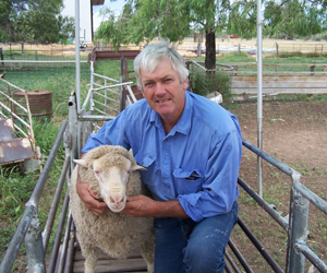 Photo from article Errol with sheep
